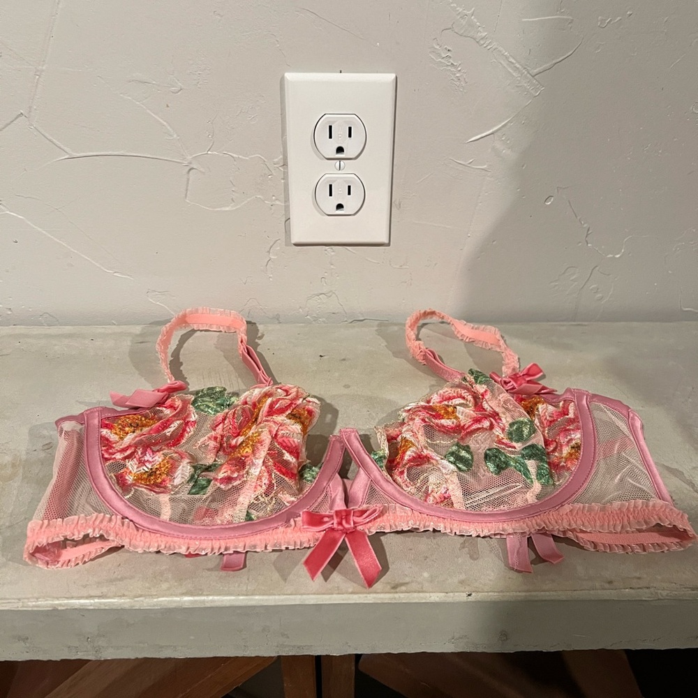 Floral Embroidered Sheer Bra